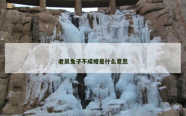 老鼠兔子不成婚是什么意思