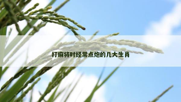 打麻将时经常点炮的几大生肖