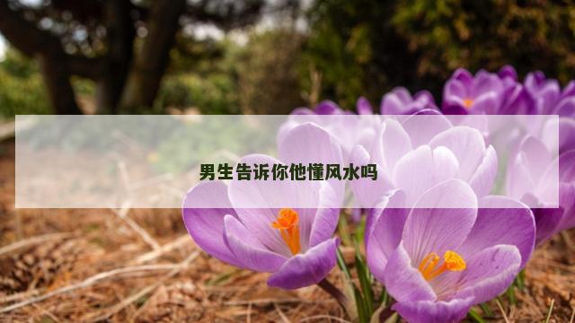 男生告诉你他懂风水吗