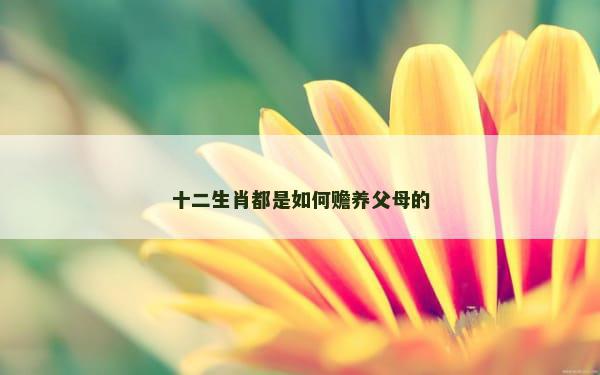 十二生肖都是如何赡养父母的