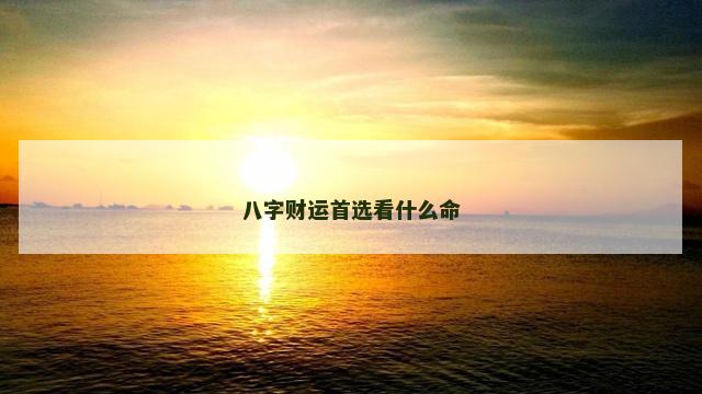 八字财运首选看什么命