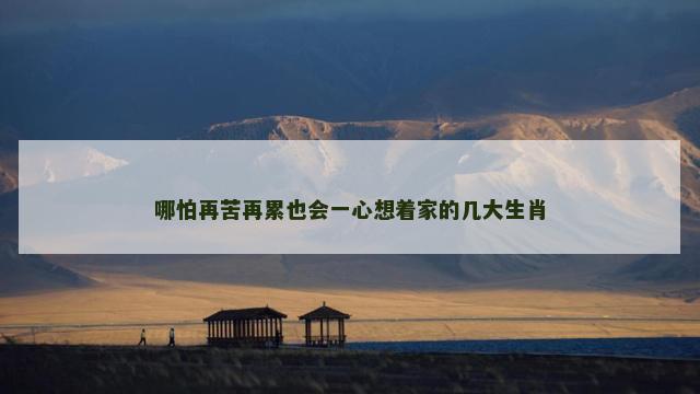 哪怕再苦再累也会一心想着家的几大生肖