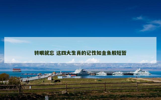 转眼就忘 这四大生肖的记性如金鱼般短暂