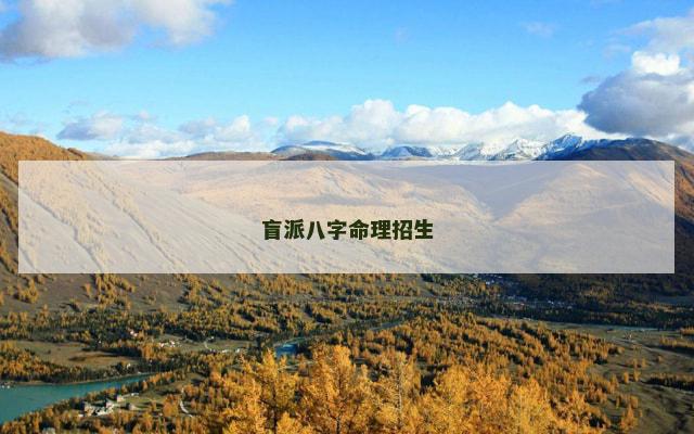盲派八字命理招生