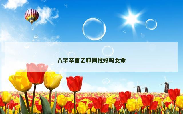八字辛酉乙卯同柱好吗女命