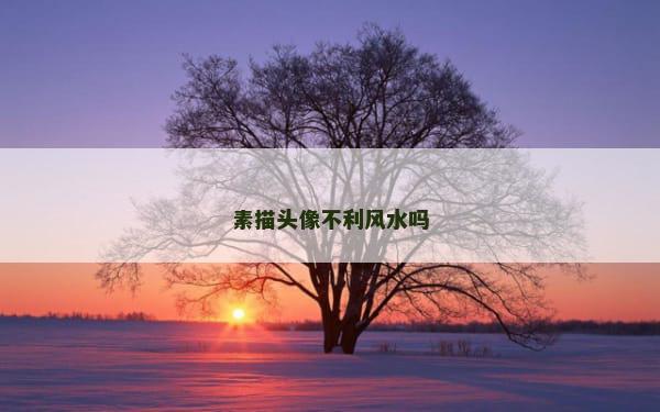 素描头像不利风水吗