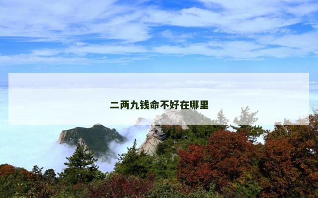 二两九钱命不好在哪里