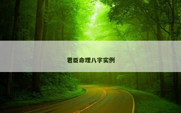 君臣命理八字实例