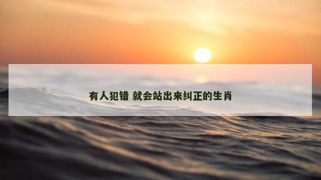 有人犯错 就会站出来纠正的生肖