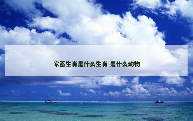 家蓄生肖是什么生肖 是什么动物