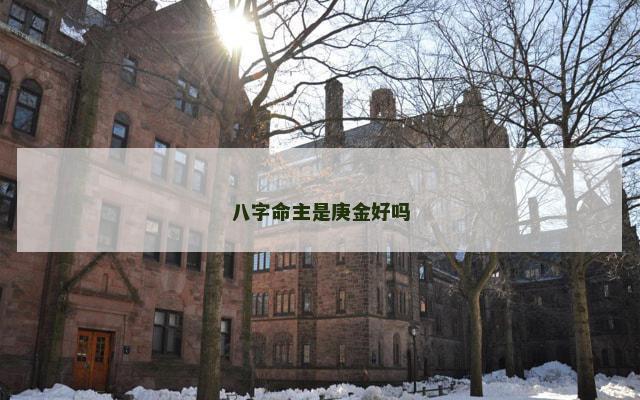 八字命主是庚金好吗
