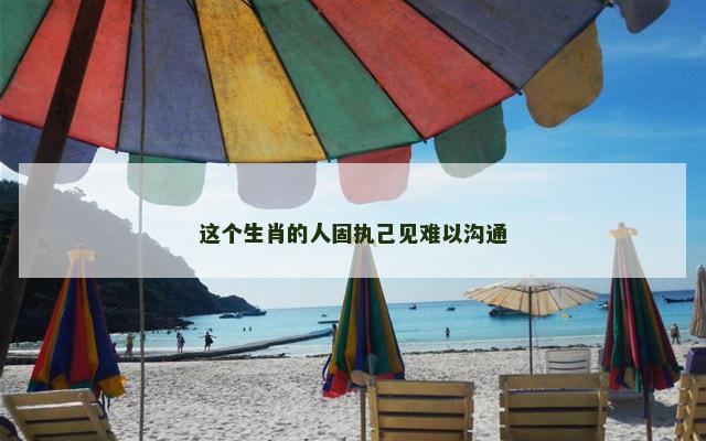 这个生肖的人固执己见难以沟通