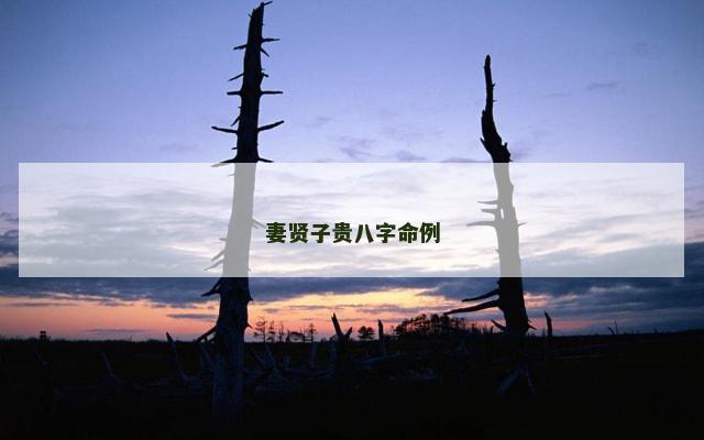 妻贤子贵八字命例