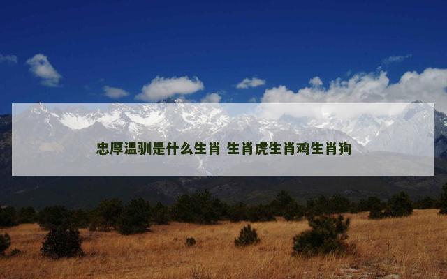 忠厚温驯是什么生肖 生肖虎生肖鸡生肖狗