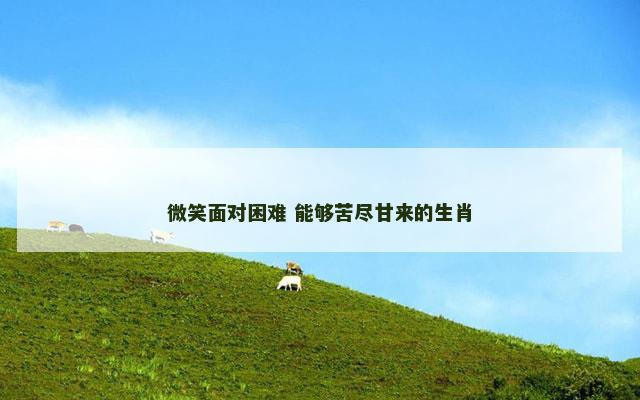 微笑面对困难 能够苦尽甘来的生肖