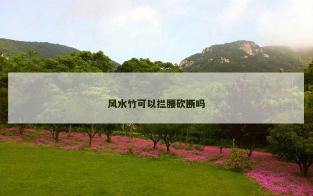 风水竹可以拦腰砍断吗