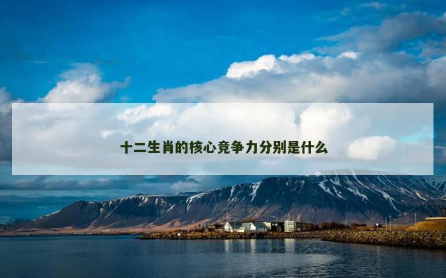 十二生肖的核心竞争力分别是什么