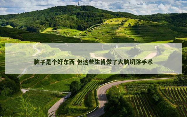 脑子是个好东西 但这些生肖做了大脑切除手术