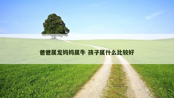 爸爸属龙妈妈属牛 孩子属什么比较好