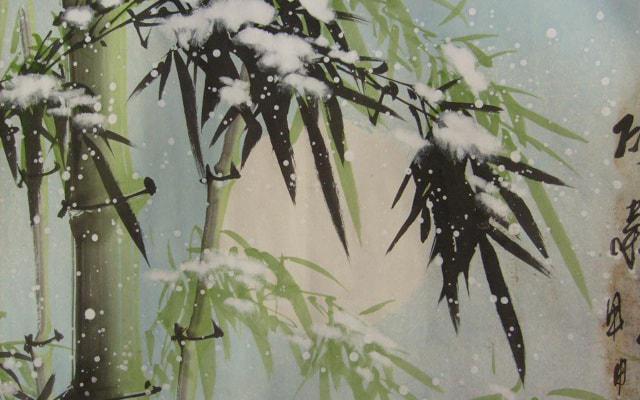 林心如八字命理解析详解