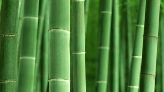 风水五行八字命理