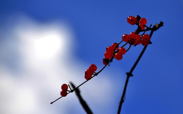 化解烂桃花最有效的方法结过婚了桃花劫怎么破