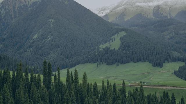院子后门堵上影响风水吗