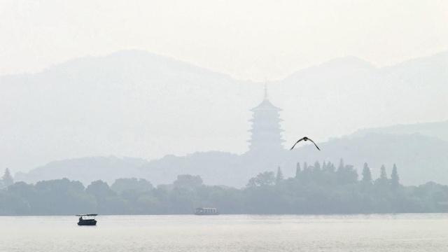 男命八字年月相合