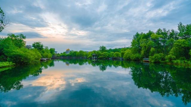 风水上的墓地能种树