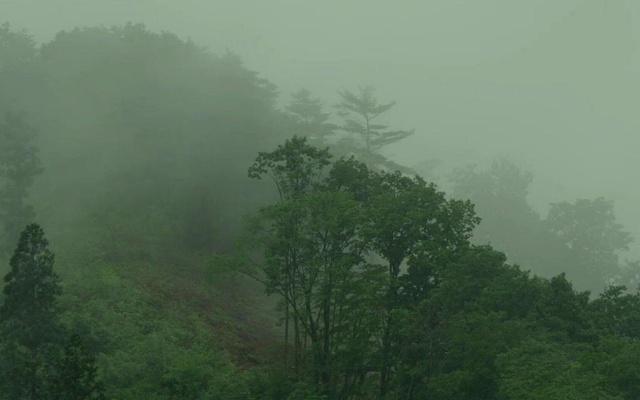 赚钱赶不及老婆花钱的可怜生肖男