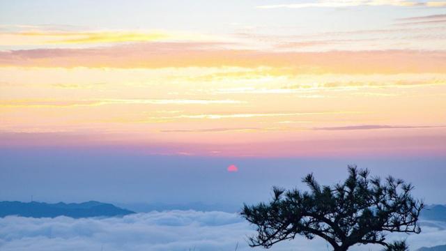 这些生肖女追求自在 不想被恋爱束缚
