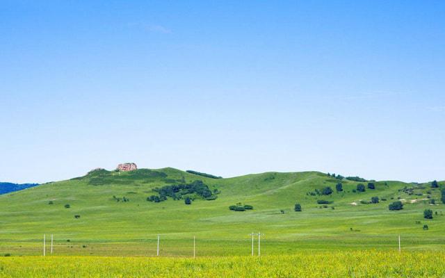 五行金多不能带金吗