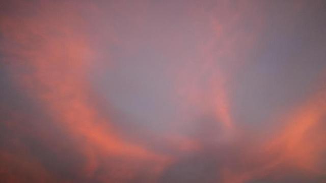 属鸡和属马差几岁 属鸡和属马的相冲吗 属鸡和属马差几岁 属鸡和属马的相冲吗