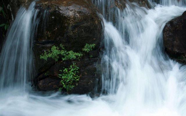 壬申八字命理详细解释