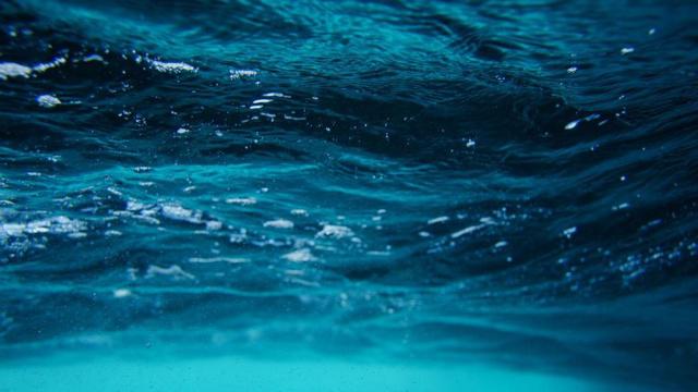 自闭症女人的八字命理