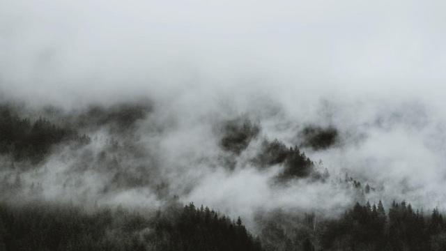 什么八字是纯阴命女孩的 什么八字是纯阴命女孩的