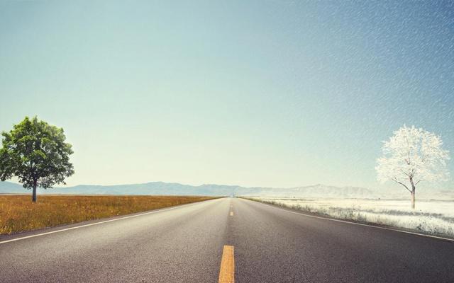 养植物火炬有风水吗