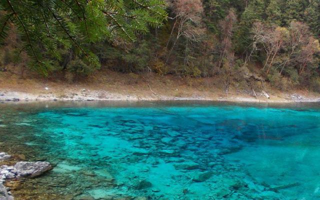 杨超越八字命格解析 杨超越八字命格解析