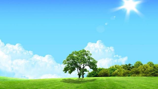 套近乎就别想了 这些生肖一身正气以理服人