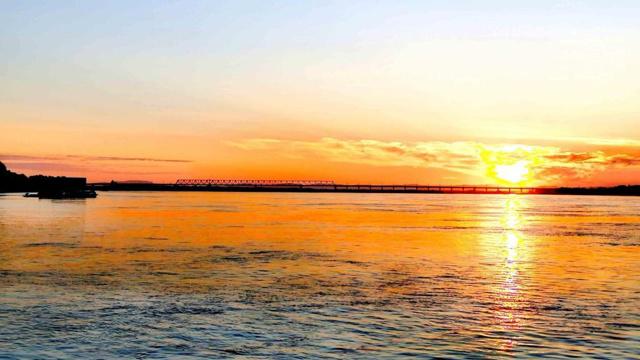 牛羊勿践是什么生肖 你知道吗