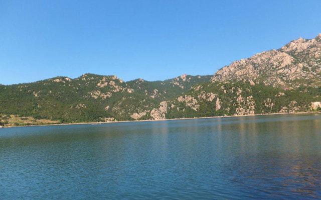 女命八字财生官官合身