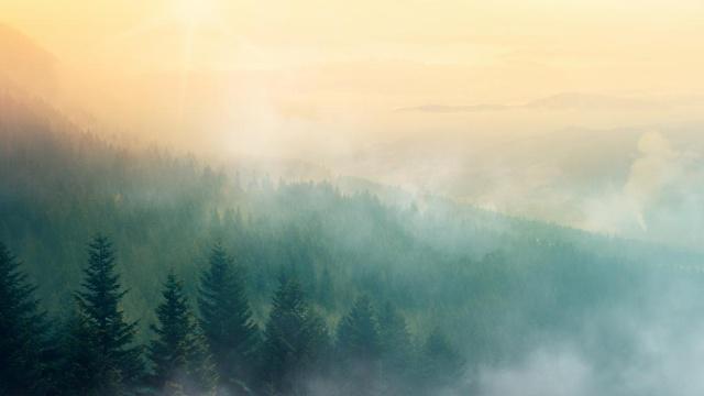 读书可以改变风水吗