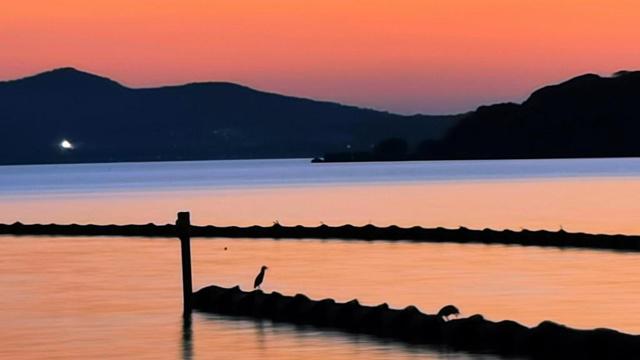 午时出生的女人命硬吗