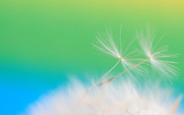 手表戴在右手上影响风水吗