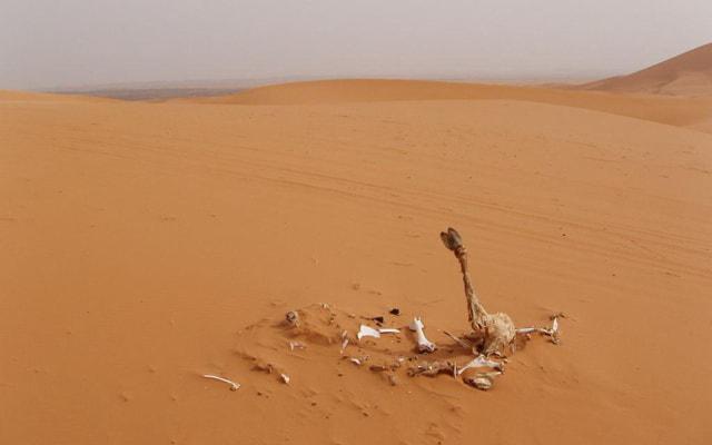 八字丧门是什么意思