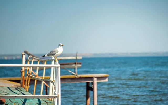 八字旺是不是说命硬