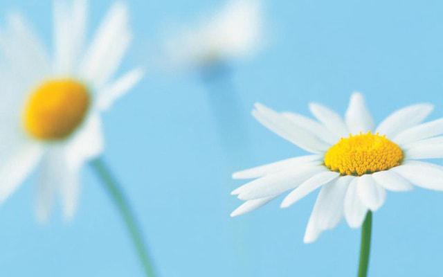 龙遇兔难致富 属龙人和谁合财