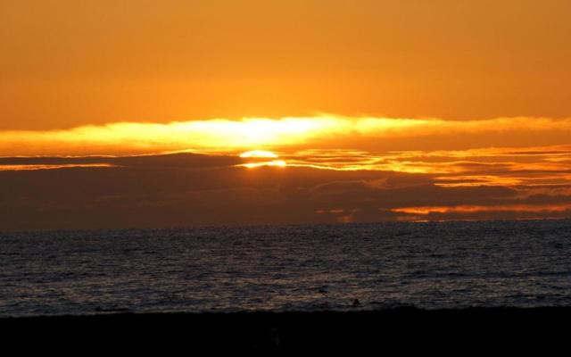 风水画可以挂在店里 风水画可以挂在店里