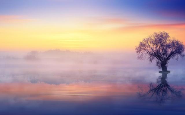 怎么快速学会八字命理呢 怎么快速学会八字命理呢