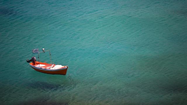 房顶上能养乌龟吗?风水好吗